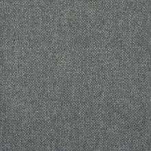 BEGONIA-ANTHRACITE-855