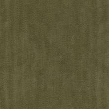 EDERA-GREEN-660