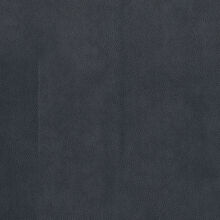 CAMELIA-850