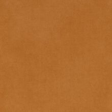 SANTOLINA-YELLOW-120