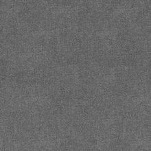 BEGONIA-ANTHRACITE-855