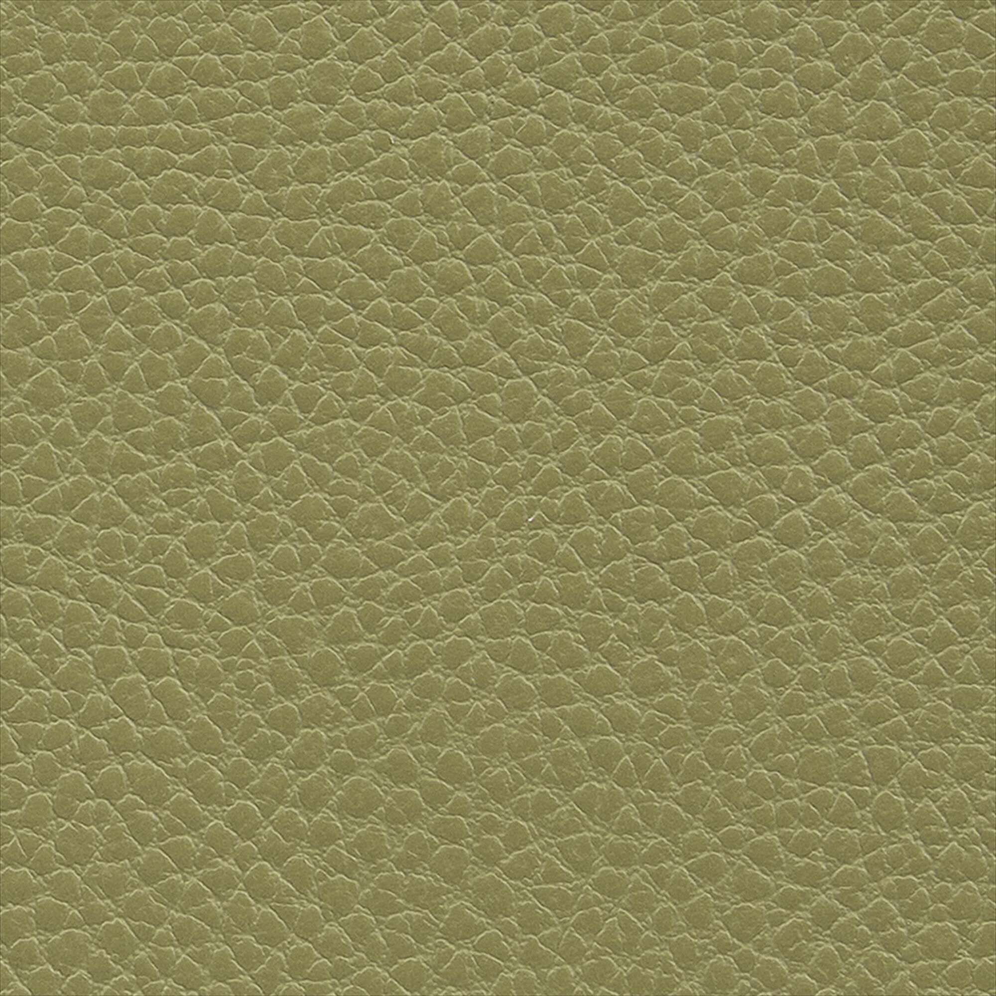 Macadamia thyme green 620