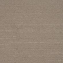 Clusia taupe 830