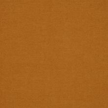 SANTOLINA-YELLOW-120