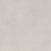 STELLA-WHITE-000