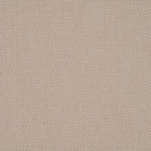 ANEMONE-WHITE-003