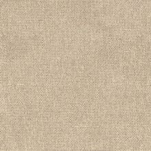 CALLISIA-TAUPE-008