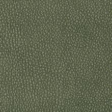 CAMELIA-GREEN-660