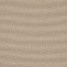 CALLISIA-LIGHT-BEIGE-004