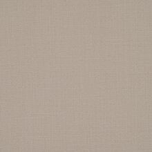 STELLA-WHITE-000