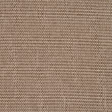 CALLISIA-TAUPE-008