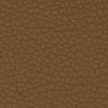 MACADAMIA-COGNAC-LIGHT-751