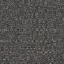 Clusia medium grey 815