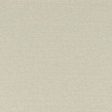 CLUSIA-LIGHT-BEIGE-004