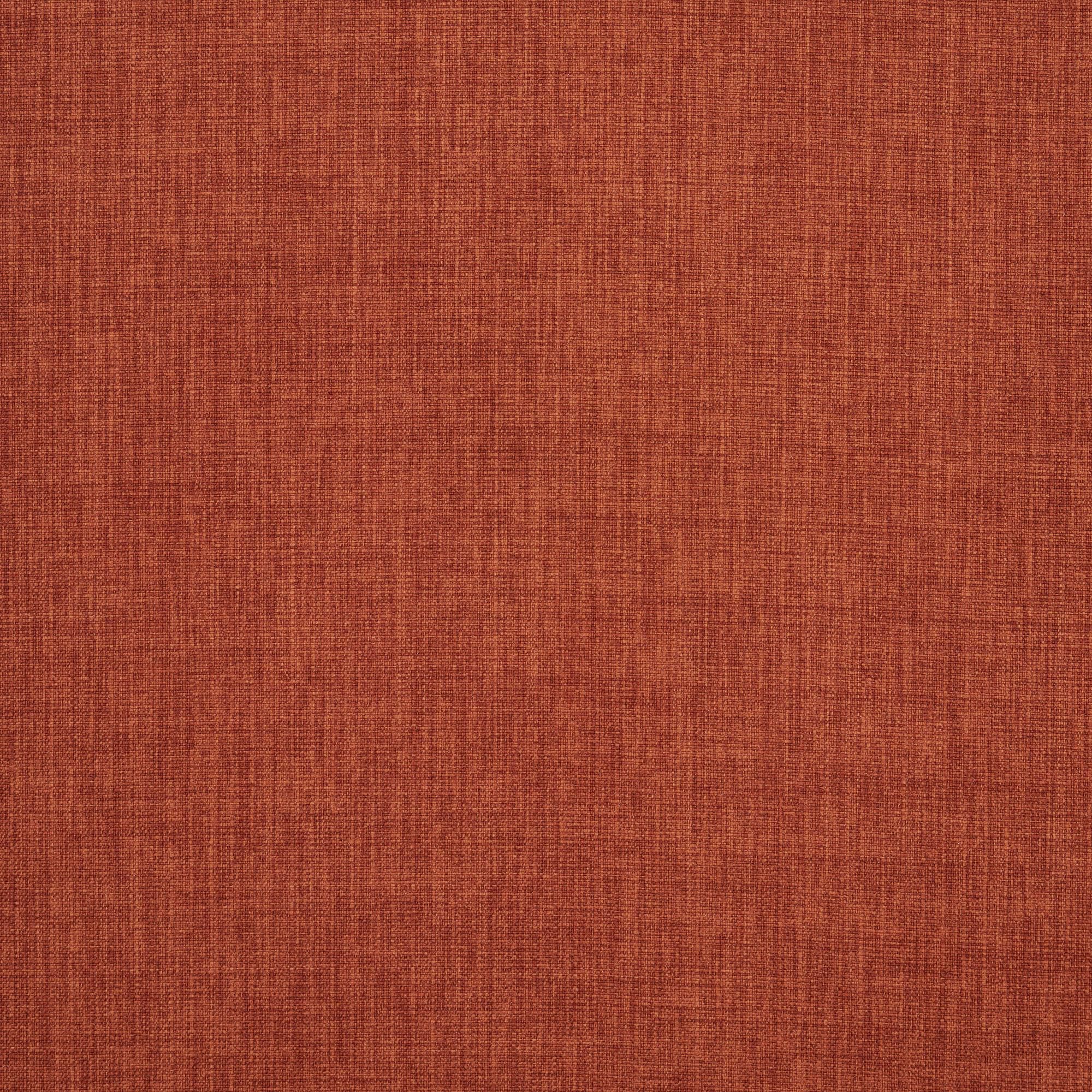 Primula rust 230