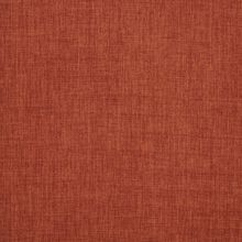 Primula rust 230