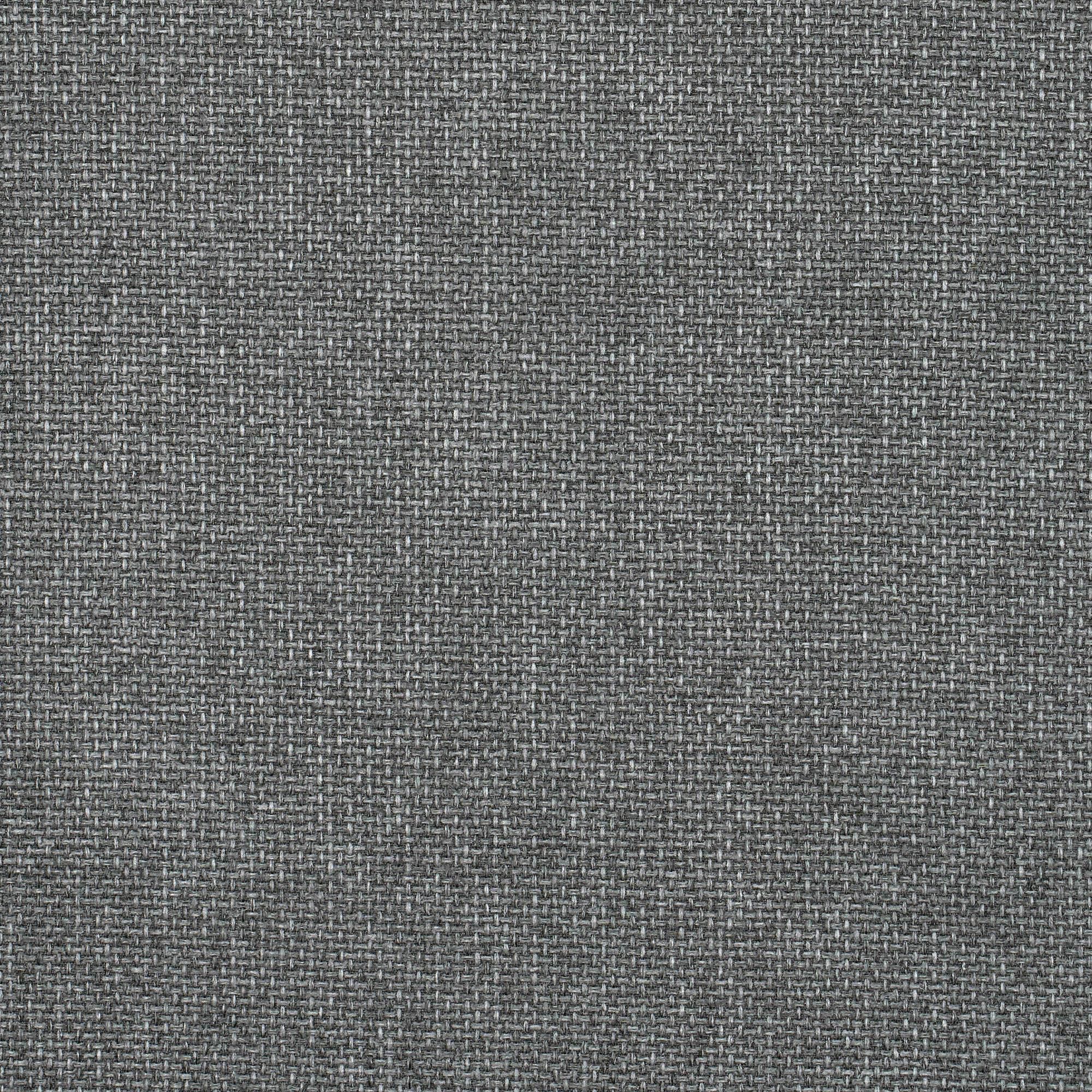 BEGONIA-ANTHRACITE-855