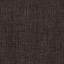 Primula brown 700