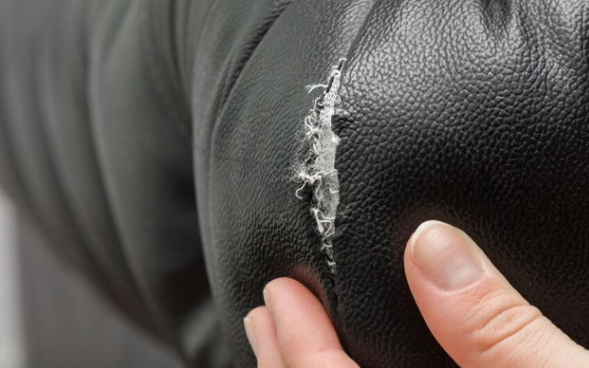ScS Sofa Guard 5-year protection | poltronesofà at ScS