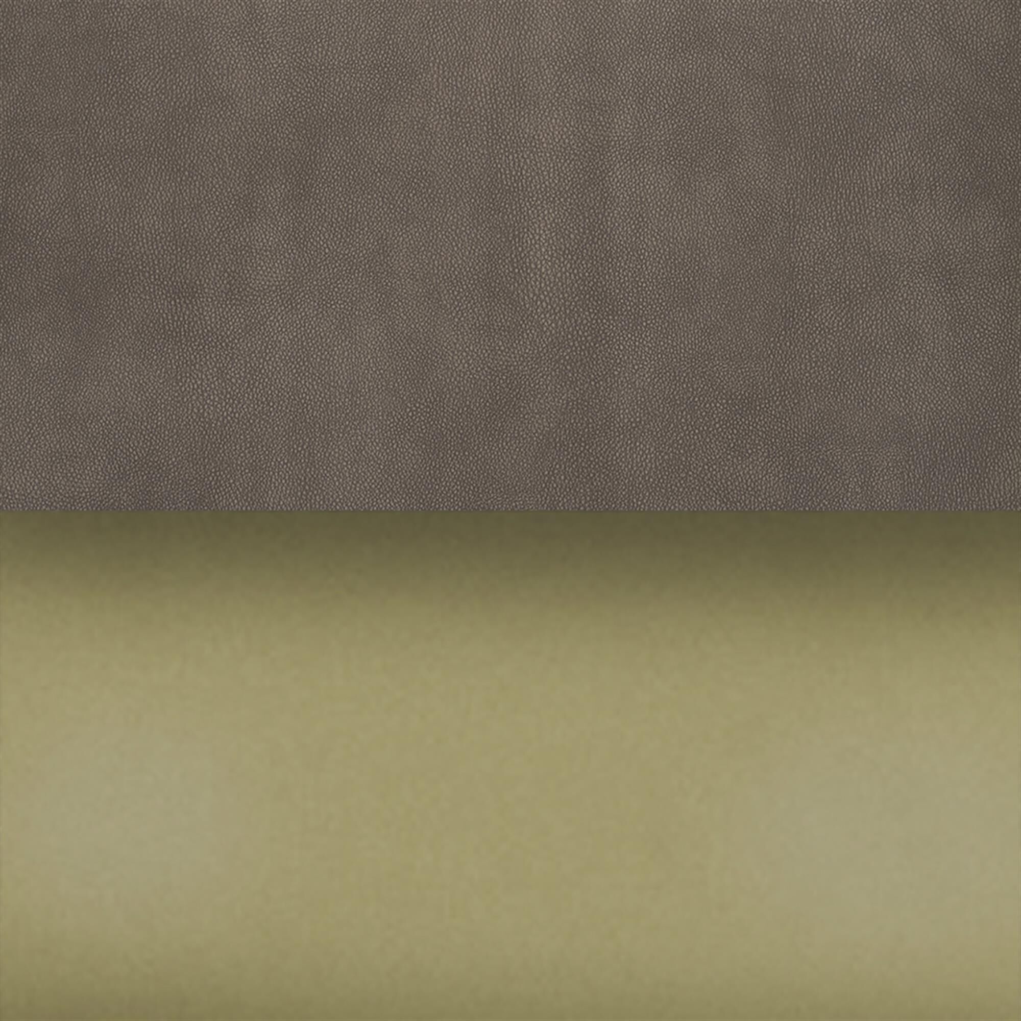 Cushion Colour