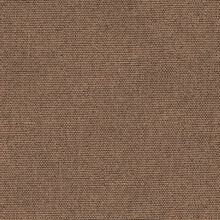 CALLISIA-LIGHT-BROWN-720