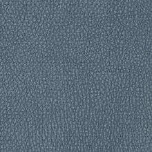CAMELIA-BLUE-580