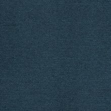 CLUSIA-BLUE-520