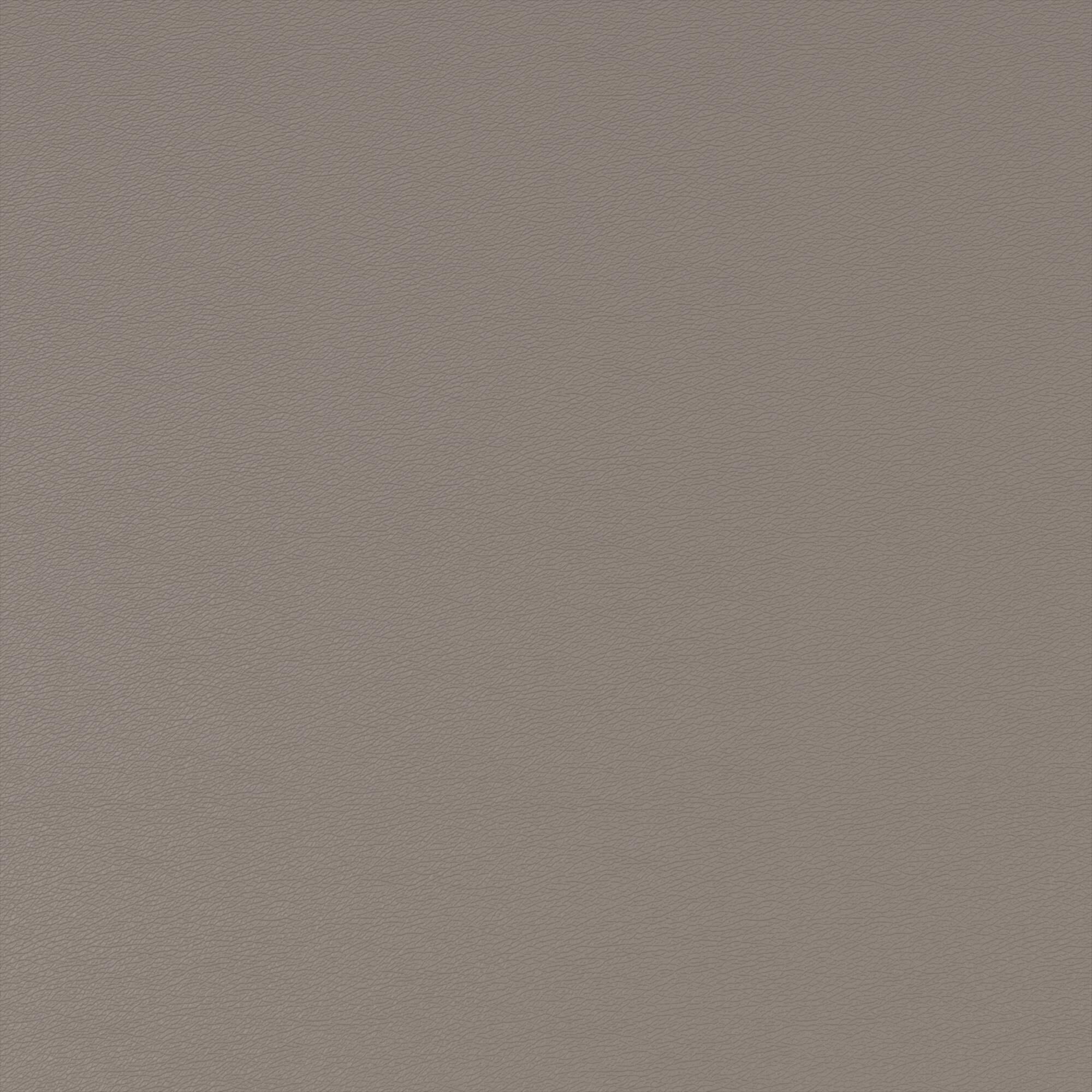 Mimosa grey 800