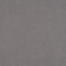 Santolina light grey 835