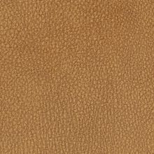 CAMELIA-YELLOW-130