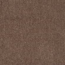 CALLISIA-LIGHT-BROWN-720