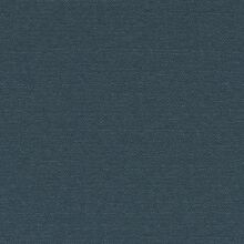 CLUSIA-BLUE-520