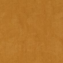 Edera yellow 120