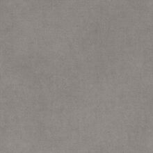 Santolina light grey 835