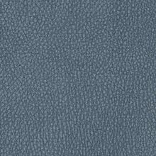 Camelia blue 580