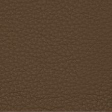 MIMOSA-LIGHT-BROWN-711