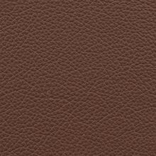 Mimosa plain 757