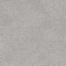 CALLISIA-800