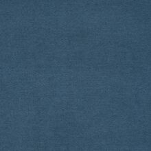 Santolina blue 520