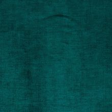 ARTEMISIA-PEACOCK-515