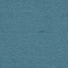 Clusia light blue 550