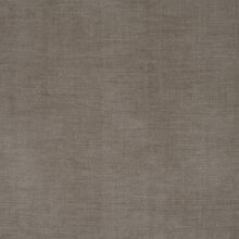 ARTEMISIA-LIGHT-GREY--880