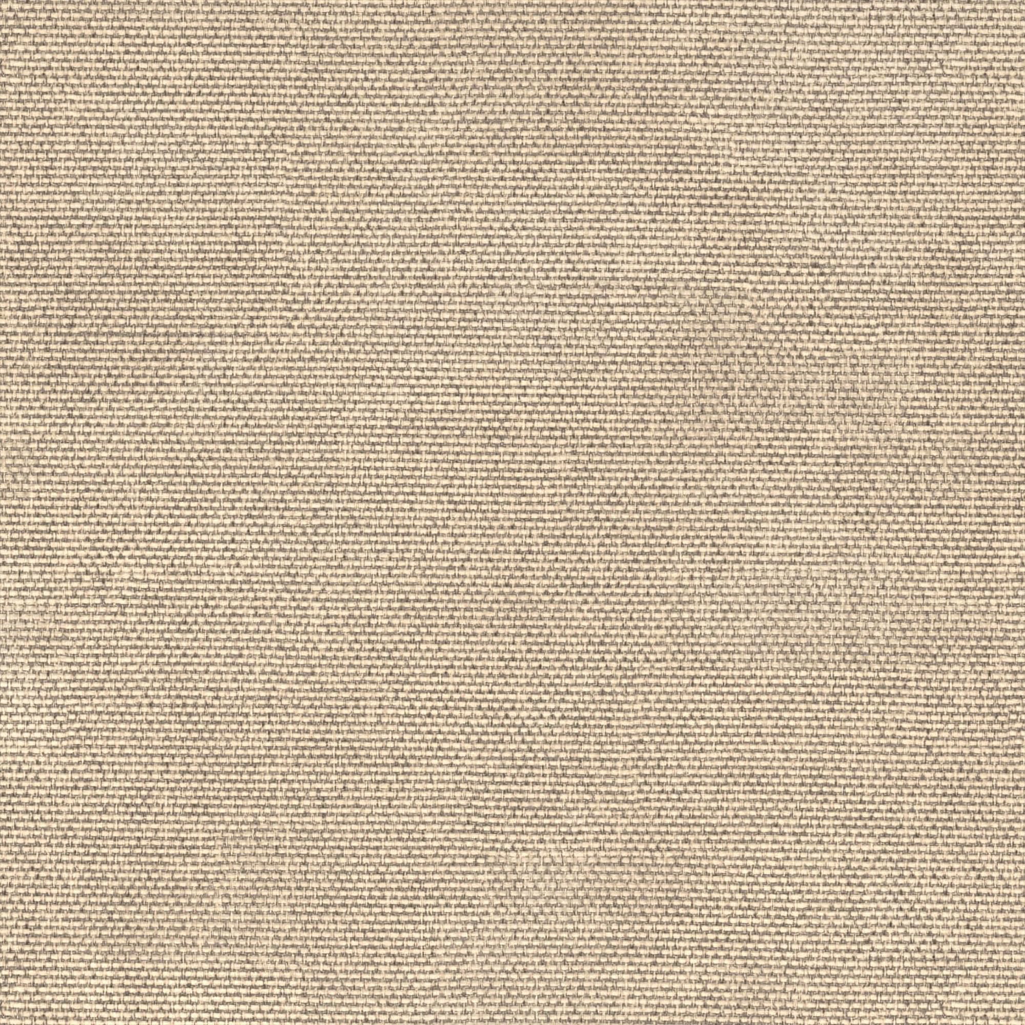 Callisia taupe 008