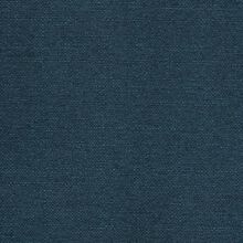 Clusia blue 520