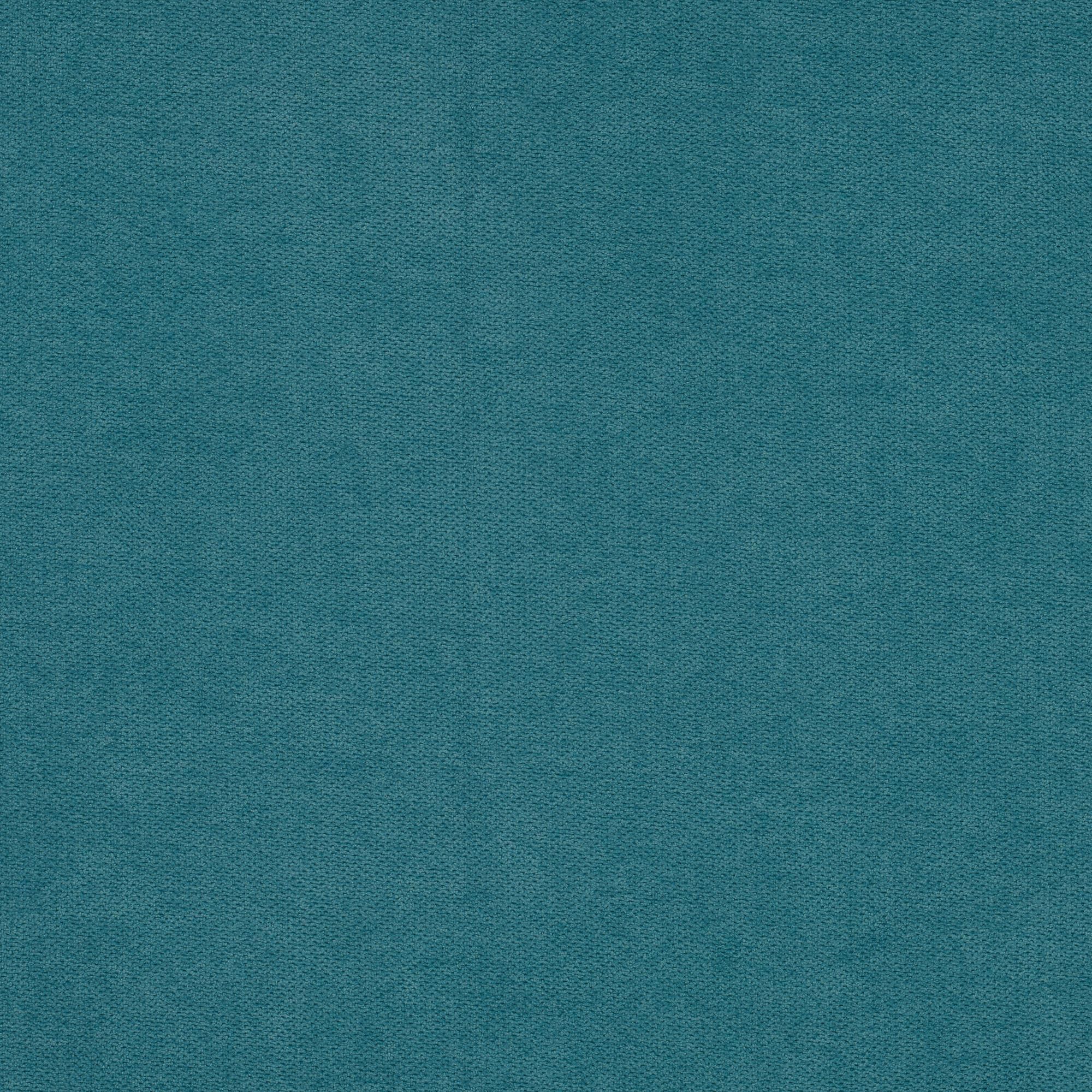 Santolina peacock 515