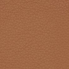 Mimosa cognac light 751