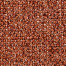 CAMPANULA-DEEP-ORANGE-260