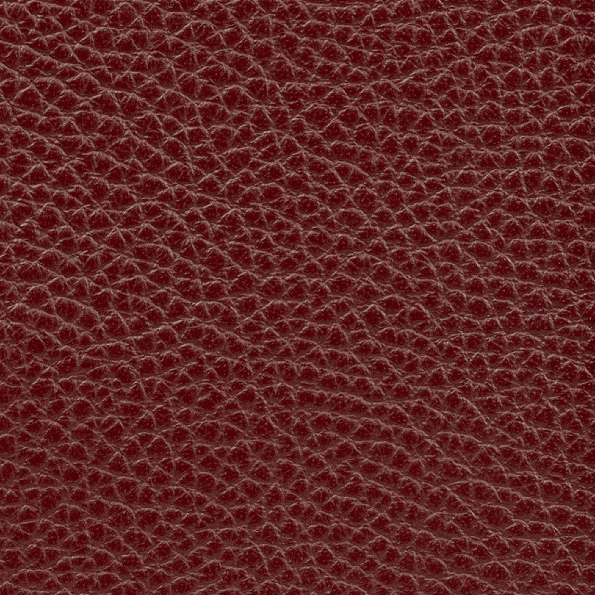 Macadamia 333