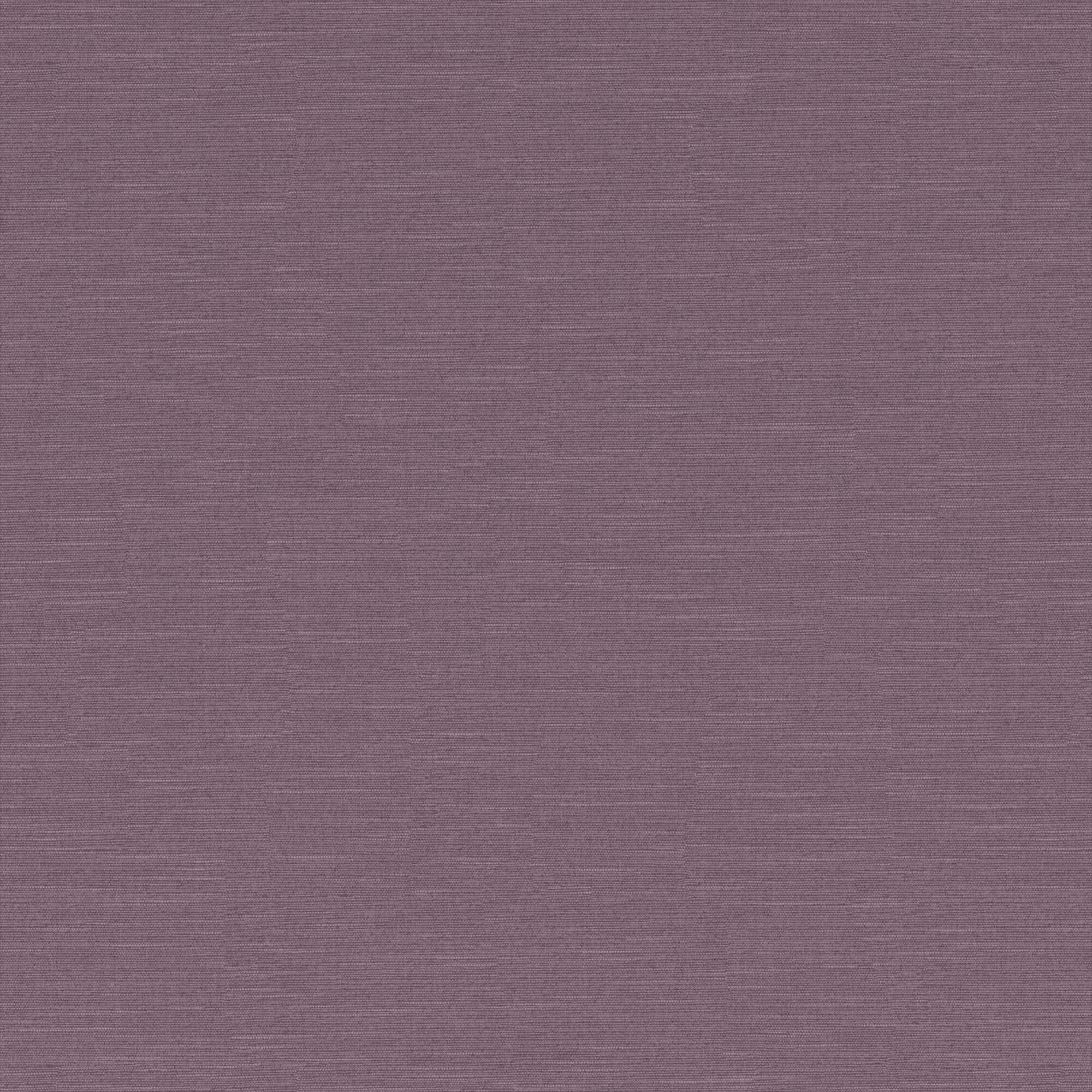 Scilla purple 400