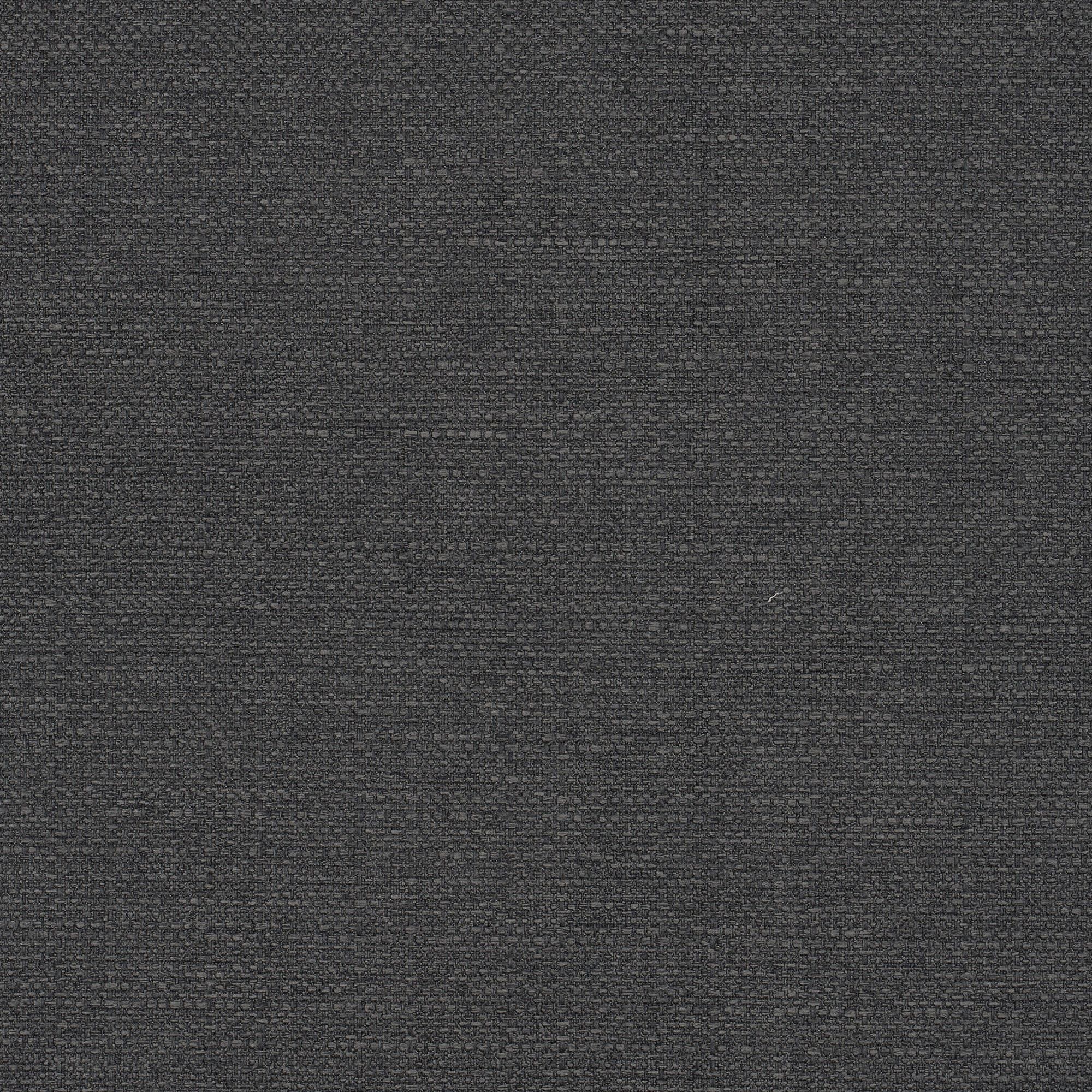 Clusia anthracite 855